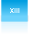 XIII