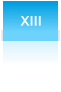 XIII